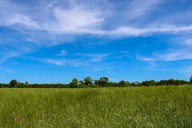 farmground_0321