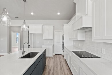 117 Aslan Rd, Poolville, TX 76487 - photo 5