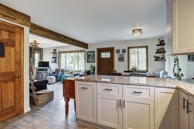 128 Willow Ln, Frisco, CO 80443 - photo 5