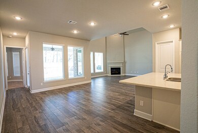 10410 Lake Palmetto Dr, Conroe, TX 77385 - photo 6