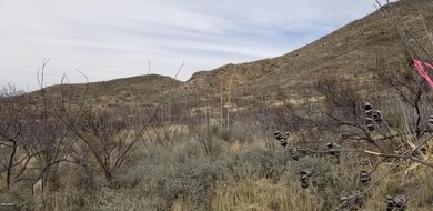 S Prop Line