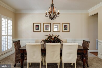 520 E Skyline Dr, Purcellville, VA 20132 - photo 3