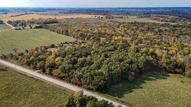 000 State Highway 39, South Greenfield, MO 65752 - photo 6