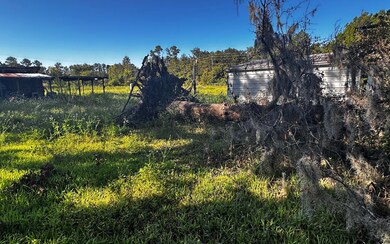 355 NE Rebecca Terrace, Lake City, FL 32055 - photo 6