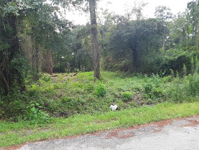0 Pate Rd Pate Rd, Houston, TX 77016 - photo 2