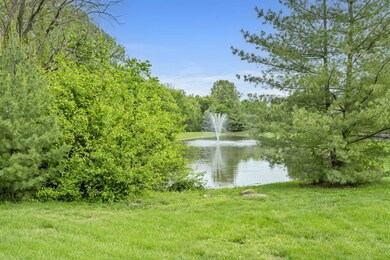 40-web-or-mls-_DSC2022