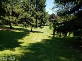 107 Grove St, Lodi, OH 44254 - photo 3