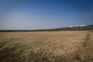 14 Alpha View Place unit 1, Cascade, ID 83611 - photo 5