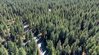 12062 Saddleback Dr, Truckee, CA 96161 - photo 3