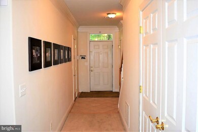 202 Cross Keys Place, Stephens City, VA 22655 - photo 2