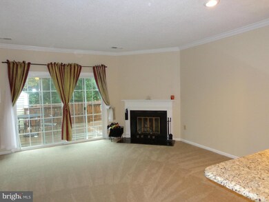 7131 Cold Spring Place, Alexandria, VA 22306 - photo 5
