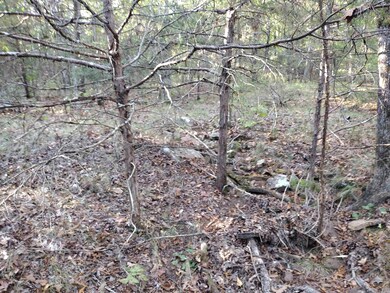 0 Arrowhead Rd, Mountain View, AR 72560 - photo 2