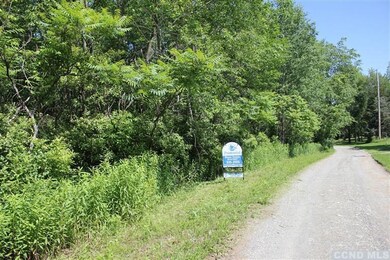 0 Roche Ln, Ancram, NY 12503 - photo 2