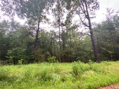 00 Tob Wilson Rd, Franklinton, LA 70438 - photo 2