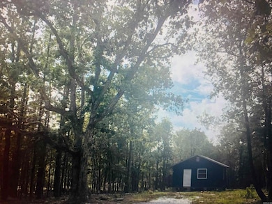 1472 Petters Rd, Mountain View, AR 72560 - photo 6