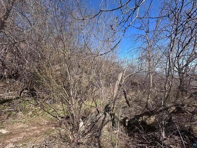View of nature