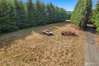 0 Xx Markley St, Raymond, WA 98577 - photo 6