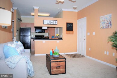 13503 Derry Glen Ct unit 403, Germantown, MD 20874 - photo 4