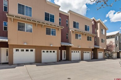 1140 Carbon Jct unit 10, Durango, CO 81301 - photo 4