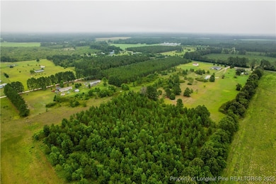 1157 Gainey Rd, Raeford, NC 28376 - photo 6