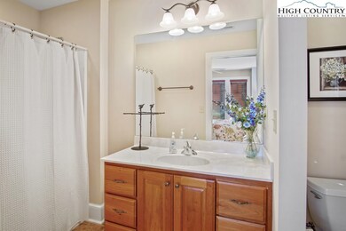 500 Indian Paintbrush Dr unit RM-4, Banner Elk, NC 28604 - photo 4