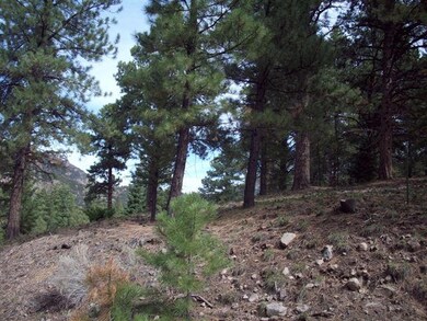 Mountain Lot