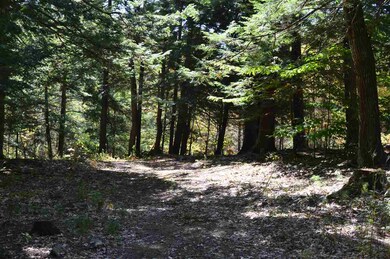 4 Sagamore Ridge unit Lot 4, Tuftonboro, NH 03816 - photo 5