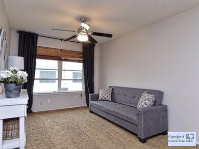 217 Spring Branch Dr, Kyle, TX 78640 - photo 6