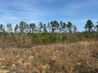 Roebuck Dr, Preston, MS 39354 - photo 7