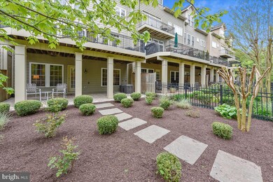 43664 Palmetto Dunes Terrace, Leesburg, VA 20176 - photo 3