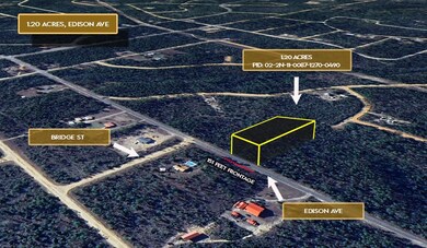 0 Edison Ave unit 25650220, Alford, FL 32420 - photo 5