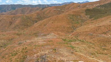 DJI_20240730125231_0204_D