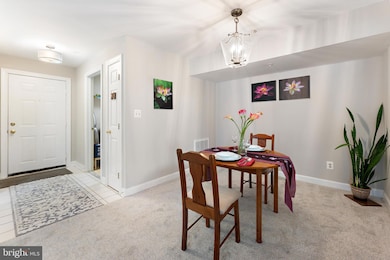 12253 Fairfield House Dr unit 405, Fairfax, VA 22033 - photo 6
