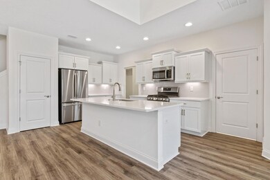 Deluxe Kitchen