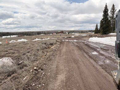 2563 E Meadow Lake Dr, Brian Head, UT 84719 - photo 4