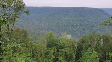 0 High Point Ln unit 1326155, Jasper, TN 37347 - photo 5