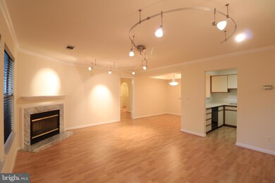 5700 Chapman Mill Dr unit 300, Rockville, MD 20852 - photo 7