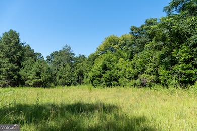 0 Plantation Rd, Warner Robins, GA 31093 - photo 4