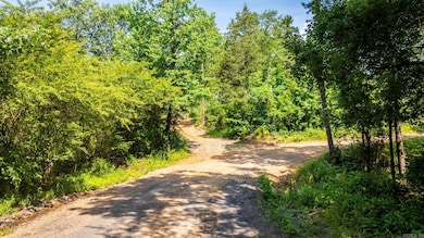 Tract 3 Harmony Mountain Rd, Clinton, AR 72031 - photo 3