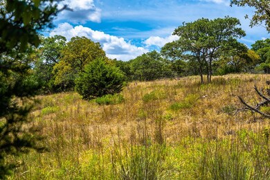 0 Hartmann Ranch Way unit 80658, Fredericksburg, TX 78624 - photo 3