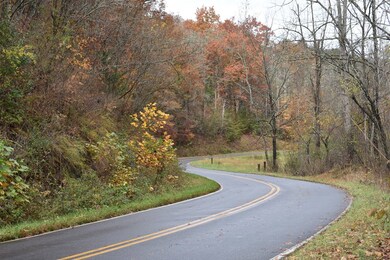 2000 Leatherman Gap Rd, Franklin, NC 28734 - photo 2