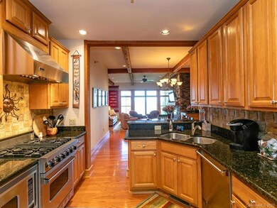 47 Creekside Way unit H102, Price Creek, NC 28714 - photo 7