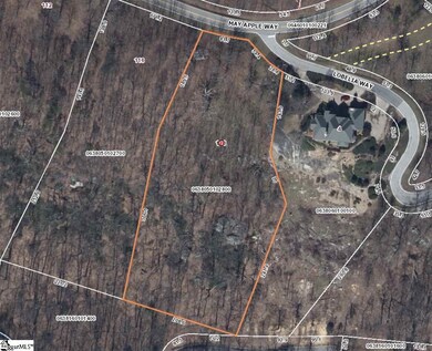 120 May Apple Way, Landrum, SC 29356 - photo 2