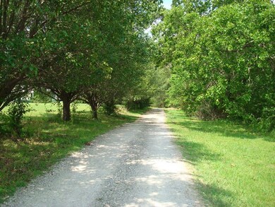 1034 Cindy Dr, Cookeville, TN 38506 - photo 4