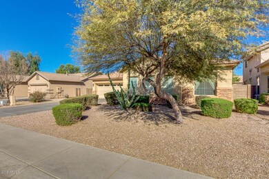 03-Ocotillo