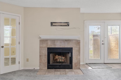Details featuring carpet flooring, a tiled firepla