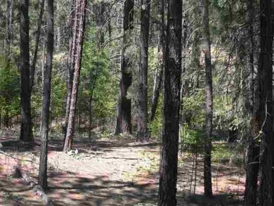 28XX E Golden Rd, Spokane, WA 99208 - photo 7