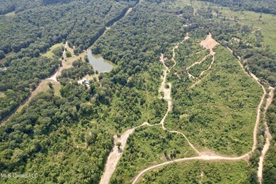 0 Abernathy Rd, Flora, MS 39071 - photo 4