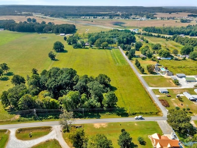 28 Acres 3117 Ridgeway Dr SW, Decatur, AL 35603 - photo 5