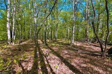 2834 Sierra Trace Rd, Denton, NC 27239 - photo 6